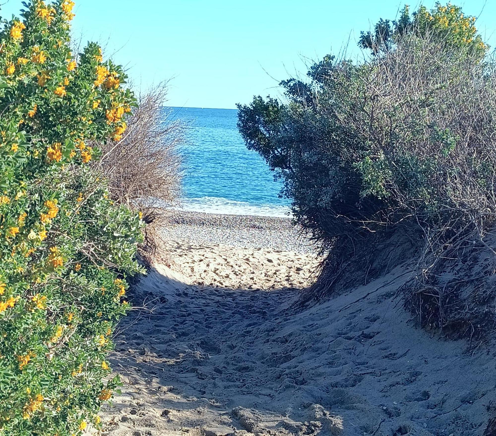 Logement Plage Saint-Cyprien  Exterior photo